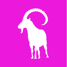 Directus