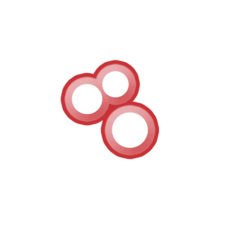 Shodan